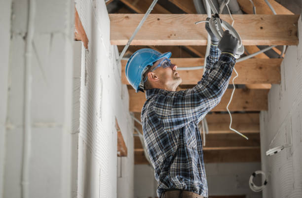 Best Electrical Wiring Services  in Des Plaines, IL